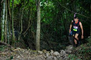 BIB: 
                            <button type="button" onclick="openModal(19438181)" class="btn btn-primary btn-sm float-right btn-popup" data-toggle="modal" data-target=".modal-high-quality">
                        <i class="fas fa-shopping-cart"></i> Add to Cart
                    </button>
                                            <button type="button" onclick="isThisMe(19438181, true)" class="btn btn-success btn-sm float-right btn-popup btn-isme hidden" data-toggle="tooltip" data-placement="bottom" title="นี่คือรูปของคุณใช่ไหม คลิกที่นี่เพื่อเอาเข้าอัลบั้ม">
                        <i class="fas fa-plus"></i> Add to album
                    </button>
                    <button type="button" onclick="isThisMe(19438181, false)" class="btn btn-warning btn-sm float-right btn-popup btn-isnotme hidden">
                        <i class="fas fa-ban"></i> Remove from album
                    </button>